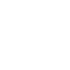 icons8-private-lock-100